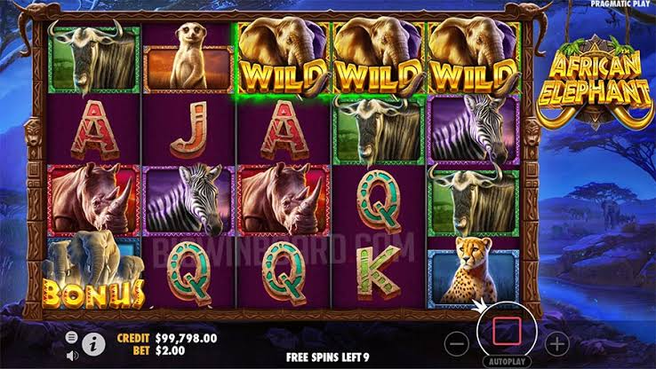 African Elephant Slot Machine by Pragmatic Play