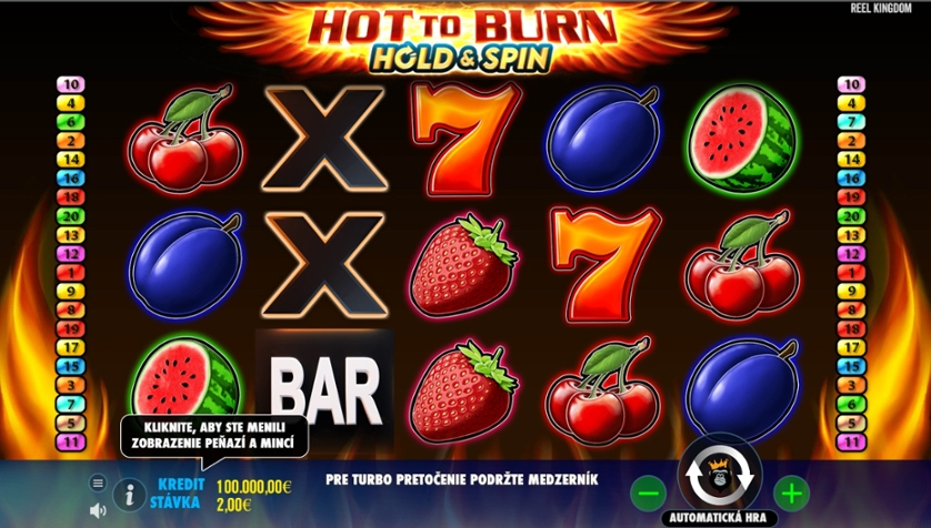Hot to Burn Online Slot demo mode