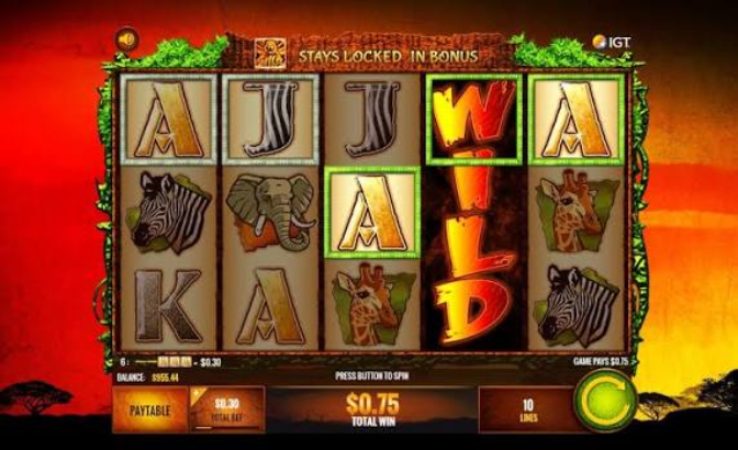 The Wild Life Slot wild symbols