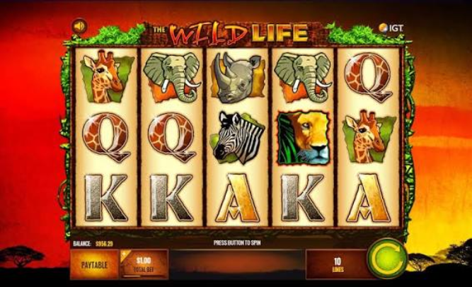 The Wild Life Slot Machine by IGT